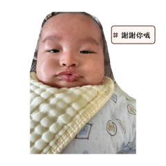 彭蛋寶日常（1）❤️