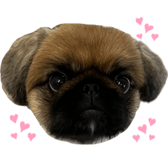 momo_peki
