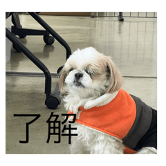 moko_20250415233601