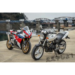 POCHI_20250414225025