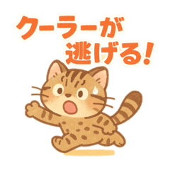 猫ちゃんのうちなーぐち（沖縄の方言）