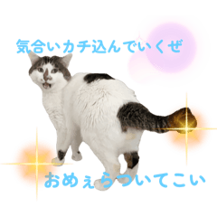 BB_20250416014312