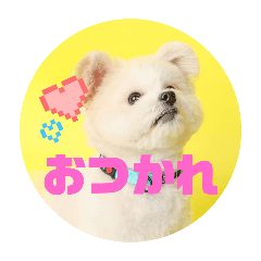 cutecuteponta2