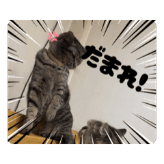 chikuwa_20250416130612