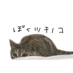 so_20250416025141