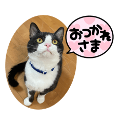 yasu_20250416100733