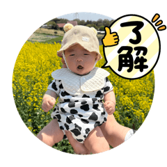 Yuki_20250416101507
