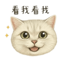 CHY_20250413230426