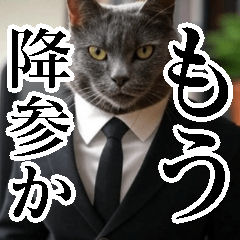 suit cat cute