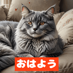 ゆるっとリアル猫スタンプ