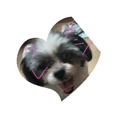 shun_20250416124053