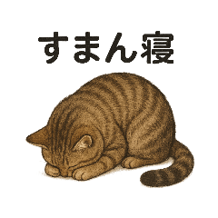 猫が一応謝るスタンプ
