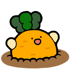 圓圓蔬果 胡蘿蔔