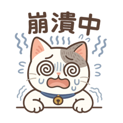 White tabby's daily life