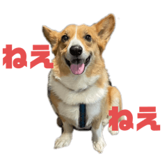 michan_20250416142124