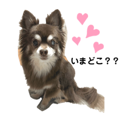 MIHO_20250416163755