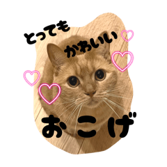 nami_20250416164421