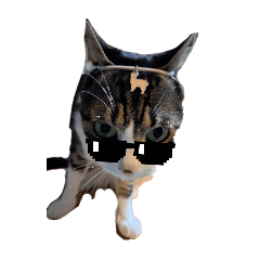 Ryu_20250416150851