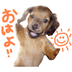 suu_20250416154321