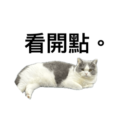 小曼尼的日常語錄