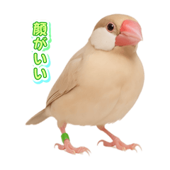 masa_20250416162910