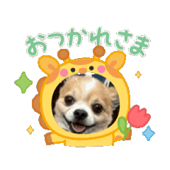 yumi_20250416150402