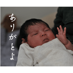 ibuki chan vol.1