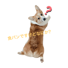 Tofu_20250416175547