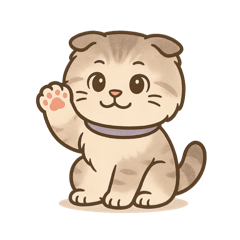 街角鬍鬚：流浪貓日記2