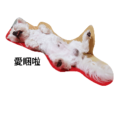 hey cute