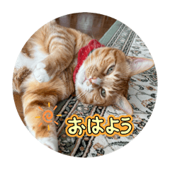 ohagi_20250415200646