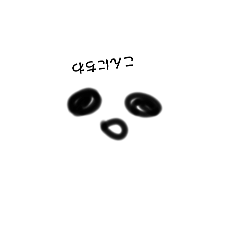 www_20250416163419