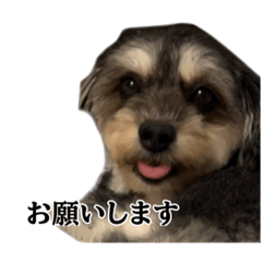 ra-mennnya_20250416182317