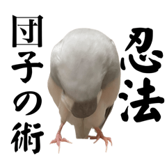 Mochar_20250416203716