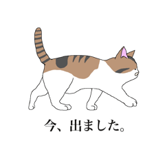 ねこさん。(日常会話)