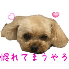 airi_20250416204113