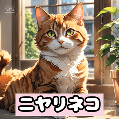 ニヤリネコの日常