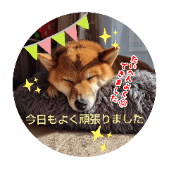 mako_20250416192001