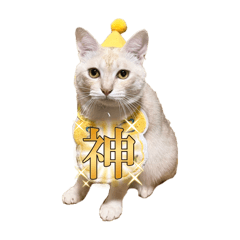 j_tan_cat