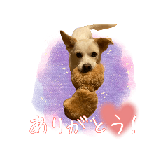 tomomi_20250416192547