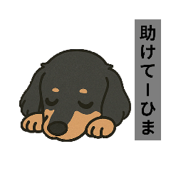 momoka_20250416204045