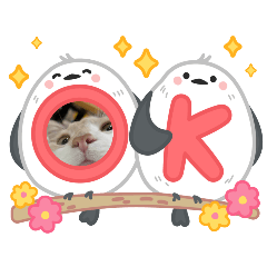 saya_20250416193901
