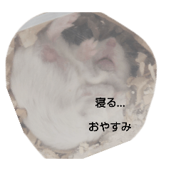 YUI_20250416220203