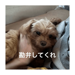 hi_20250416220608