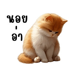 MofuMochi v.1