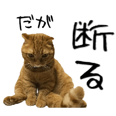misa_20250415204044