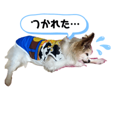 pon_20250416224119