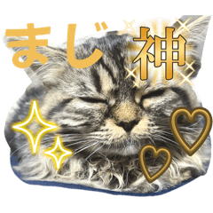 mocopi_20250416224305