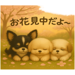 HINA_20250417065408