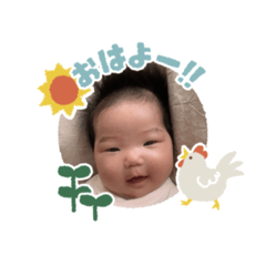 yh_20250417040334